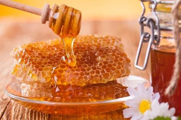 قیمت خرید عسل طبیعی کوهستان عمده به صرفه و ارزان
